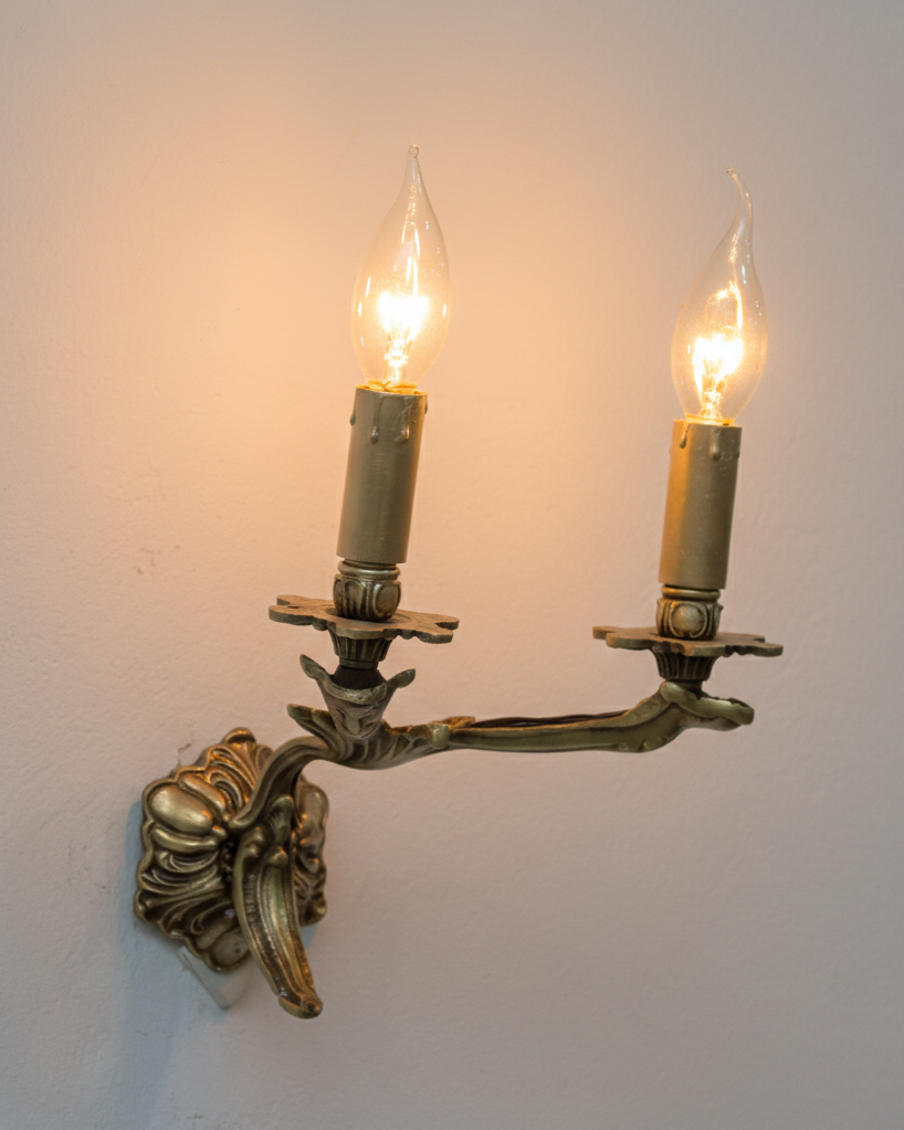 Applique en bronze à deux lumières – Décor feuillage