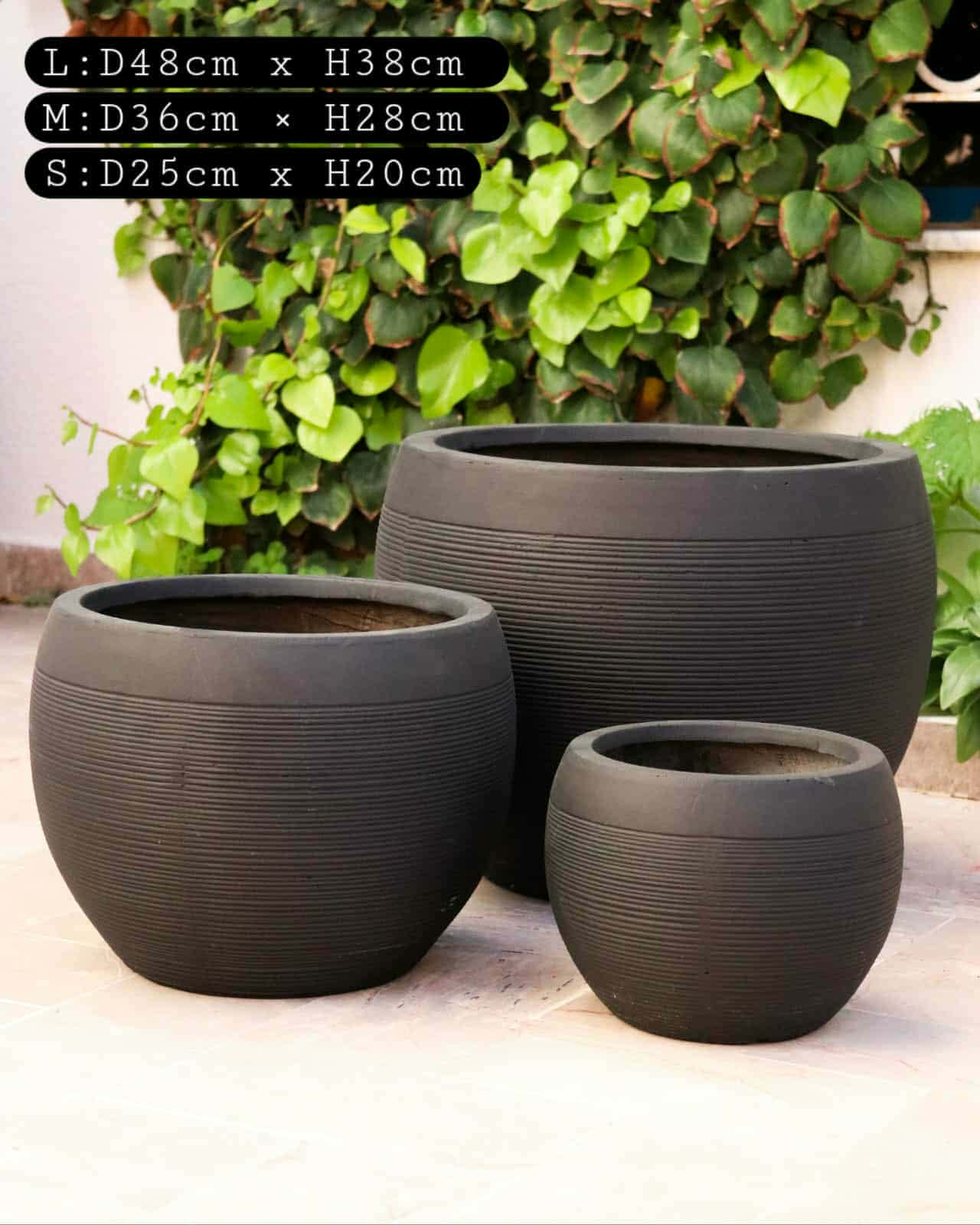 Cache-Pots Décoratifs Noir Élégance Moderne